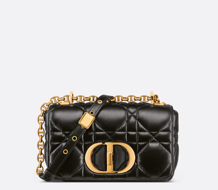 Dior Caro 스몰 백